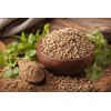 CEMEHA SEEDS - Seeds Coriander (Chinese Parsley Dhania) Non GMO