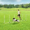 Sturdy Dog Weaves Poles Outdoor Pet Speed and Agility Equipment