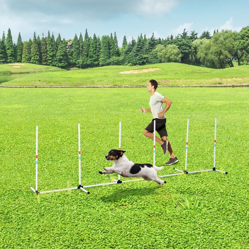 Sturdy Dog Weaves Poles Outdoor Pet Speed and Agility Equipment