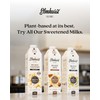 Elmhurst 1925 Sweetened Oat Milk - 32 Ounce (Pack of