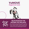 YuMOVE Digestive Care PLUS | Previously YuDIGEST PLUS | Veterinary