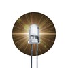 Lumetheus LED 5 mm Colour Warm White 5000 mcd Pack