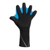 Synergy Neoprene Thermal Swim Gloves (Swim - Black, Large)