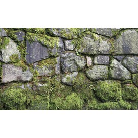 BIGGIES- Window Well Scenes Wall Art- Moss, 60" x 120"