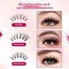 Bodermincer Lash Extension 240pcs C Curl 10D/20D Cluster 8/9/10/11/12mm,10/11/12/13/14mm,12/13/14/15/16mm Mixed
