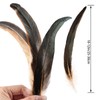 Colorful Rooster Tail Feathers-50PC 10-12inch Natural Long Rooster Tail Feathers