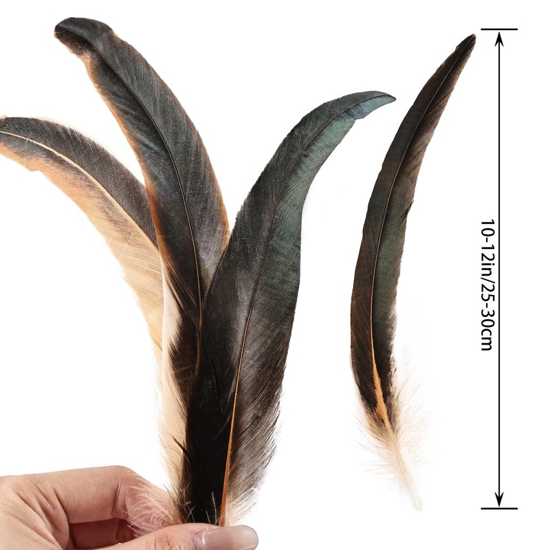 Colorful Rooster Tail Feathers-50PC 10-12inch Natural Long Rooster Tail Feathers