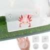 OOXYG Axolotl Hammock Ledge for Aquarium and Feeding Dish with