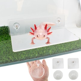 OOXYG Axolotl Hammock Ledge for Aquarium and Feeding Dish with Suction Cup, 2-in-1 Axolotl Tank Accessories Set, Axolotls Transparent Acrylic Shelf Perch Hammock with Adhesive Pads, Aquarium Decor