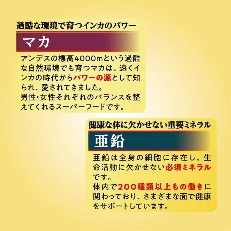 Garlic Ginseng W 1 Bottle, 120 Tablets, Made in Japan