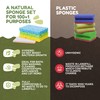 DR HYGI PopUp Sponges, Natural Cellulose Sponge, Super Absorbent Sponge
