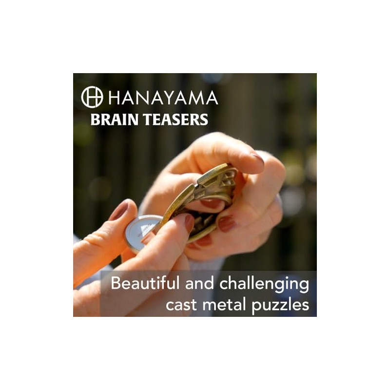 BePuzzled | Labyrinth Hanayama Metal Brainteaser Puzzle Mensa Rated Level