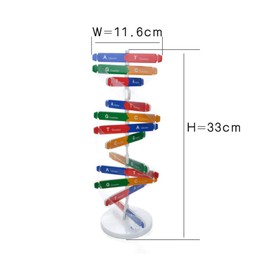 Toyvian Teaching Aid for Scientific Dissemination of Models of the Double Helix Model of DNA, Picture 1, M