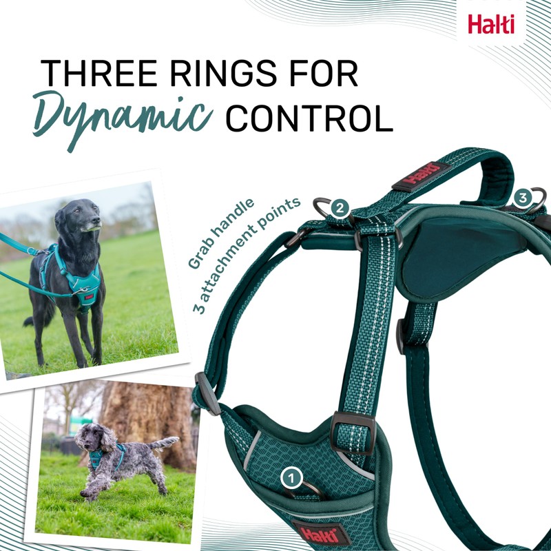 HALTI Anatomy Dog Harness with Handle - Provides Your Dog