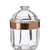 Premier Housewares Durchsichtiger Behälter, acryl, Rose Gold, S