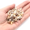 GOLD STONE Seashell Parts, Resin, 10g Shell, Material, Home Time,