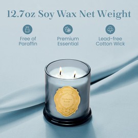 M&SENSE Verbena Basil Candle,Scented Candle Gifts for Men&Women, 12.7oz Natural Soy Wax,Lasting Long Burning Glass Jar Candle for Home Scented