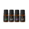 Hair Oil Sample Size Bundle for Men & Women by