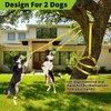 HOKINETY Dog Hanging Bungee Tug Toy for Two Dogs: Interactive