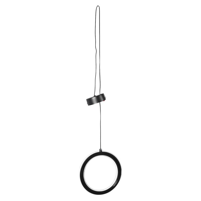 LED Pendant Light Fixture Height Adjustable Globe Modern Hanging Chandelier