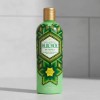 Shampoo Huichol Artesanal De Sabila Anticaida Original