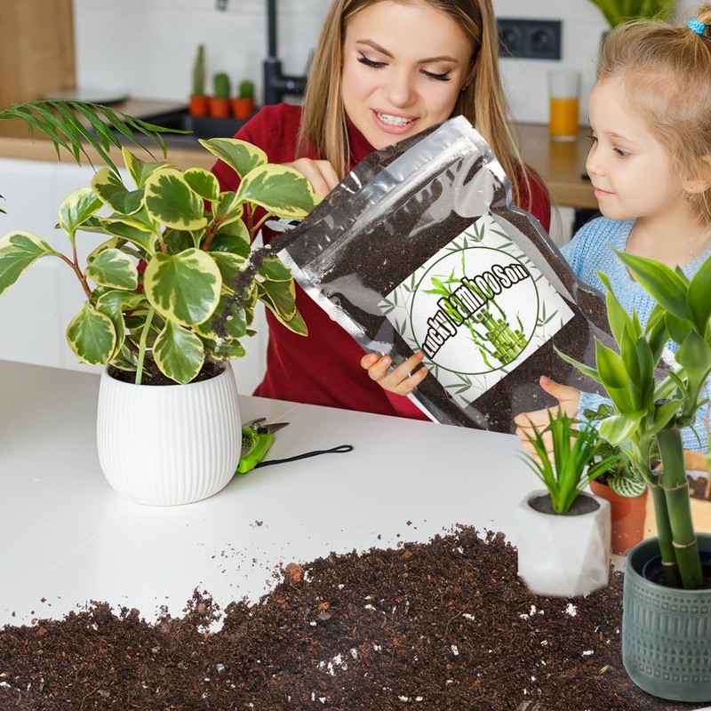 Doter Premium Lucky bamboo Soil Mix 2qt, Indoor Plants Potting