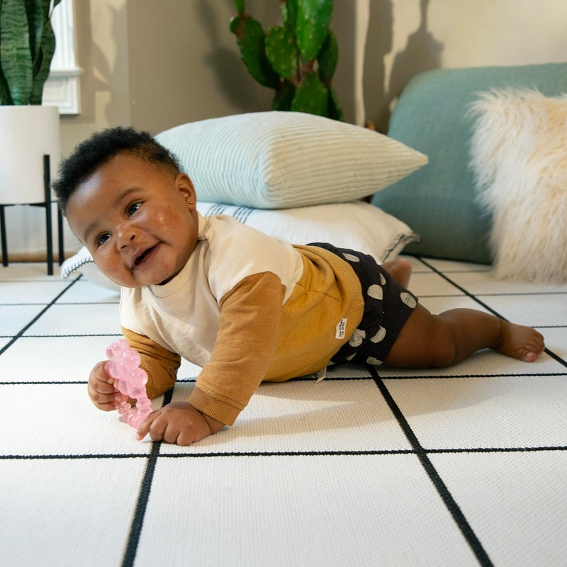 Ingenuity Mordedera de Agua para Bebés Figura de Margarita