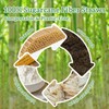 Sugarcane Straws - 100PCS Straws Disposable Biodegradable Compostable Long Sugar