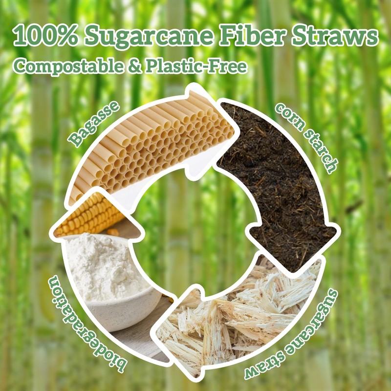 Sugarcane Straws - 100PCS Straws Disposable Biodegradable Compostable Long Sugar