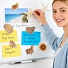 Natural Seashell Fridge Magnets 8PCS, Starfish Shell Refrigerator Magnets