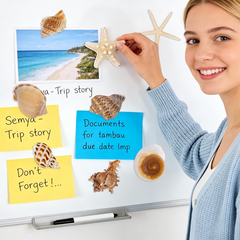 Natural Seashell Fridge Magnets 8PCS, Starfish Shell Refrigerator Magnets