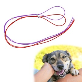 Endotracheal Tube Ties Trach Tube Holder Tracheostomy Trach Tube Ties for Pets Animals Surgery Dental Surgery for Dog Cats Surgery