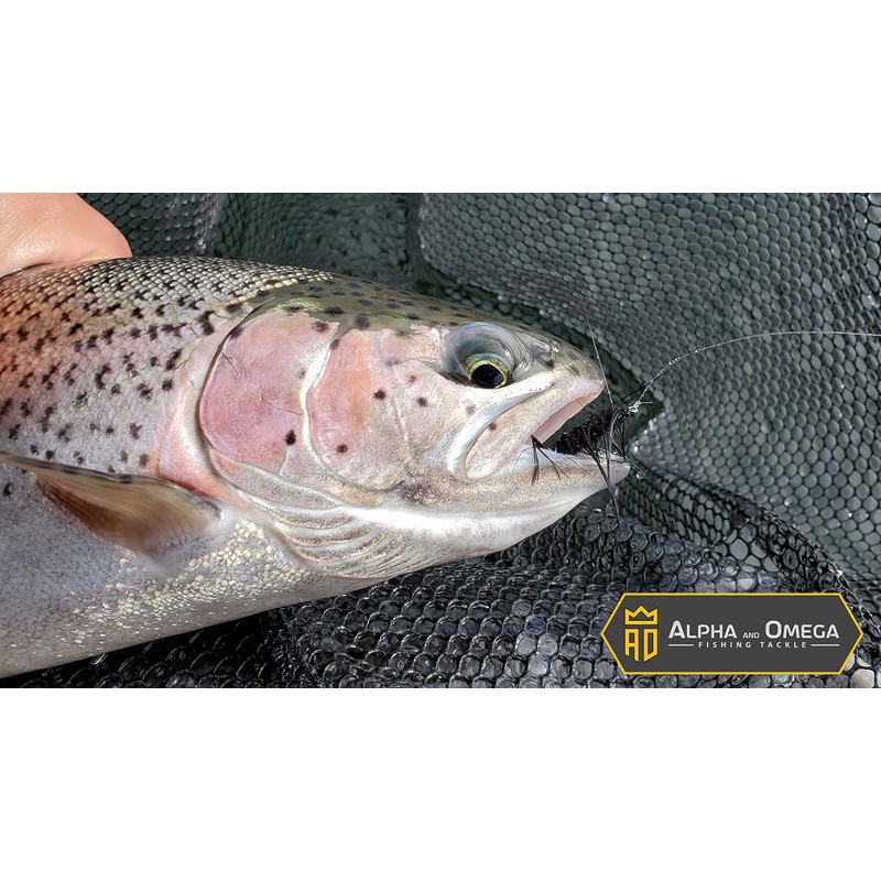 ALPHA and OMEGA - Woolly Bugger Fly KIT (20 Flies)
