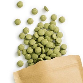 Terra Elements Organic Moringa Tablets (500 mg, Pack of 240) I Rich in Vitamin A I 100% Pure I Vegan I Raw Food
