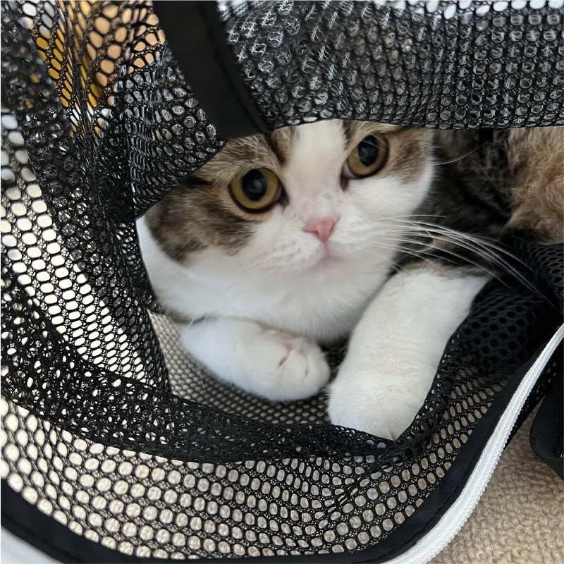 necoichi Portable Series Cat Goods