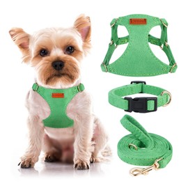 No Pull Dog Harness- Lightweight, Soft, Adjustable Small Harness Collar and Leash Set, Suitable for Cats Puppy Small and Medium-Sized Dog Outdoor Training and Running (Green, XXS)