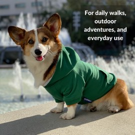 DJANGO Dog Hoodie and Super Soft and Stretchy Sweater – Fully Lined with Elastic Waistband, Leash Portal, and Back Pocket… (Forest Green, Medium)