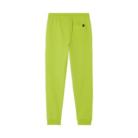 Polaris Slingshot Unisex Jogger, Poly Fleece Blend - 2833472 Lime