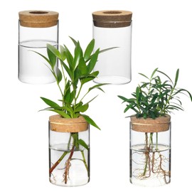 wangsdjy Separated Desktop Glass Flower Vases - Ideal Plants Propagation Stations for Living Room, Bedroom Decoration,Home Decor (4)