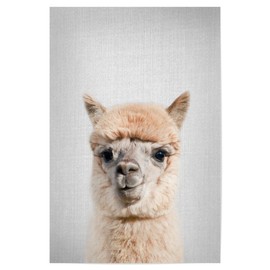 artboxONE Poster 60 x 40 cm Llama & Alpaca for Children Alpaca Colourful Picture Animal African Alpaca