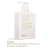 Evo Normal Persons Daily Conditioner 300ml Gf