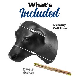 Colorado Saddlery Practice Calf Head - 10" Long Heavy Duty Roping Dummy Head with Rod Locking, Ideal for Adults & Steer Roping Practice, Includes Metal Stakes