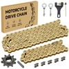 CILOYU 420 Gold Chain for Coleman Mini Bike CT200U CT200U-EX