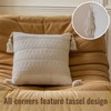 Woven Throw Pillow Cover with Tassels 2 Pack Spring Farmhouse