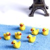 SELECOCO Miniature Ducks Set of 10 Terranium Gardening Dollhouse Garden