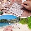 XANGNIER Acrylic Magnetic Seashell Display Box,Clear Sea Shell Display Box,Beach