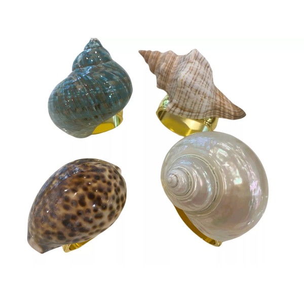 Hans Turnwald Turnwald Set 4 Asst Sea Shell Turbo MOP