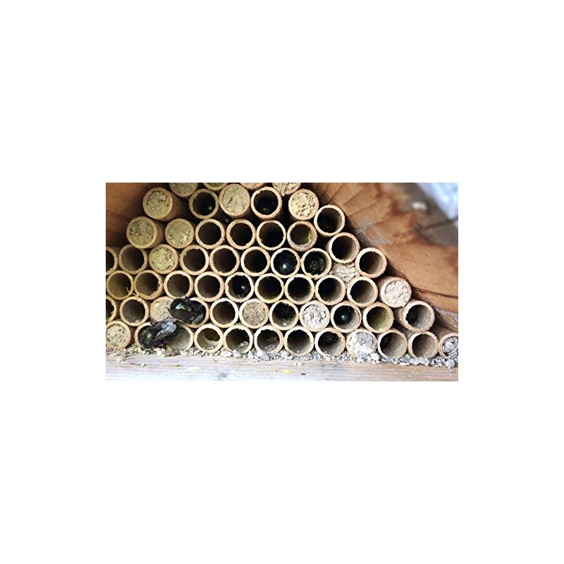 Woodlink 991100 28555 Replacement Mason Bee Fiberboard Nesting Tubes Insect