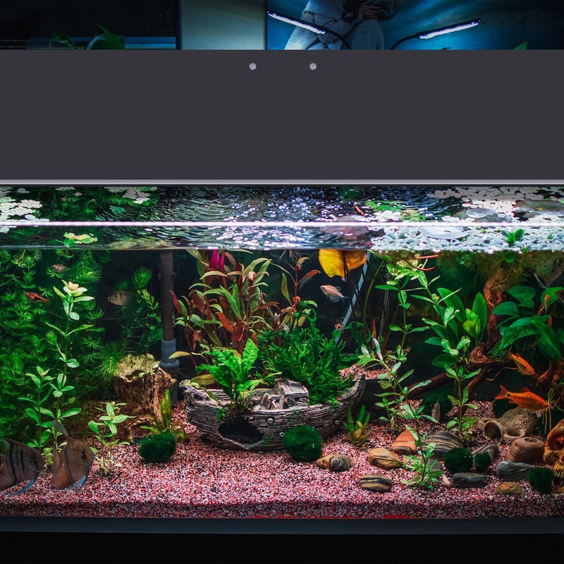Sieral Aquarium Polycarbonate Canopy Set 19.37 x 9.37 x 0.12