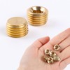 10 PCS 1/4" NPT Male Pipe Plug Fitting Set Brass
